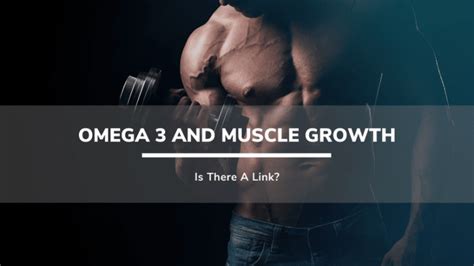 omega 3 for muscle growth.